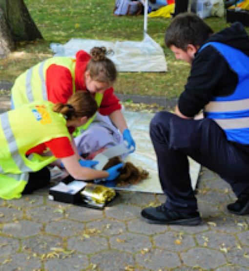 Regionalverband Lübeck Arbeiter Samariter Bund Schleswig Holstein