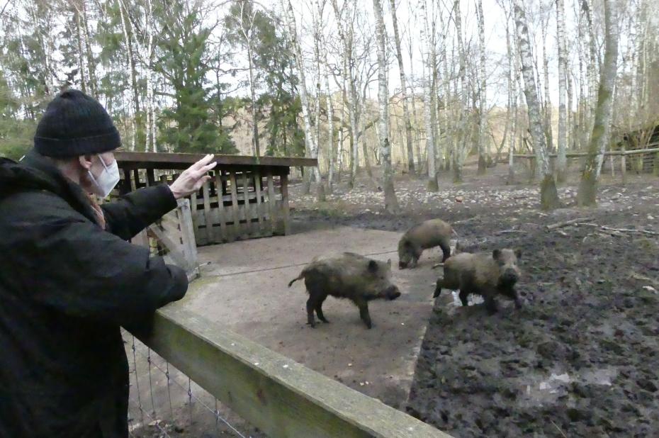 ASB SH Wunschfahrt in den Wildpark Eekholt-04