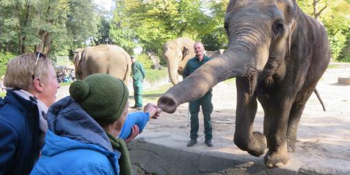 Reinhard füttert einen Elephanten Reinhard füttert einen Elephanten