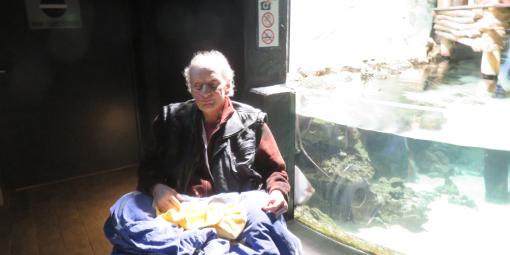 Herr H. im Rollstuhl vor einem Aquarium Herr H. im Rollstuhl vor einem Aquarium